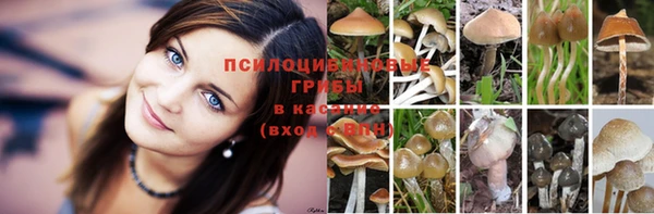 прущие крисы Алексин