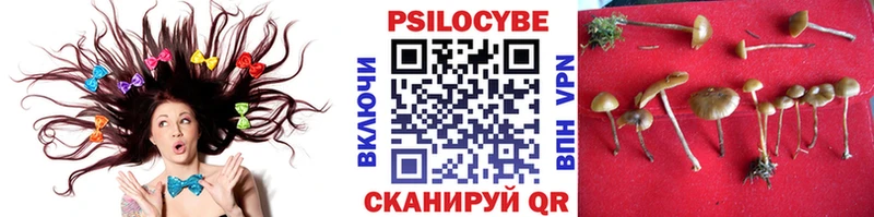 ОМГ ОМГ tor Люберцы Псилоцибиновые грибы MAGIC MUSHROOMS
