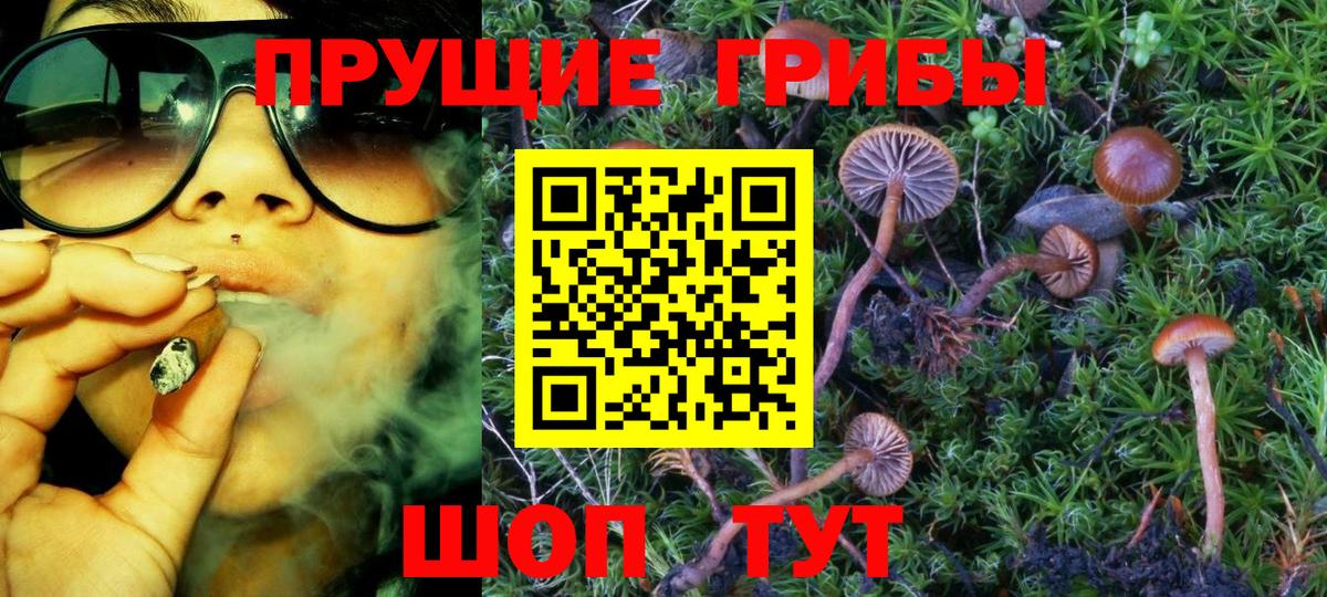 Псилоцибиновые грибы прущие грибы Люберцы