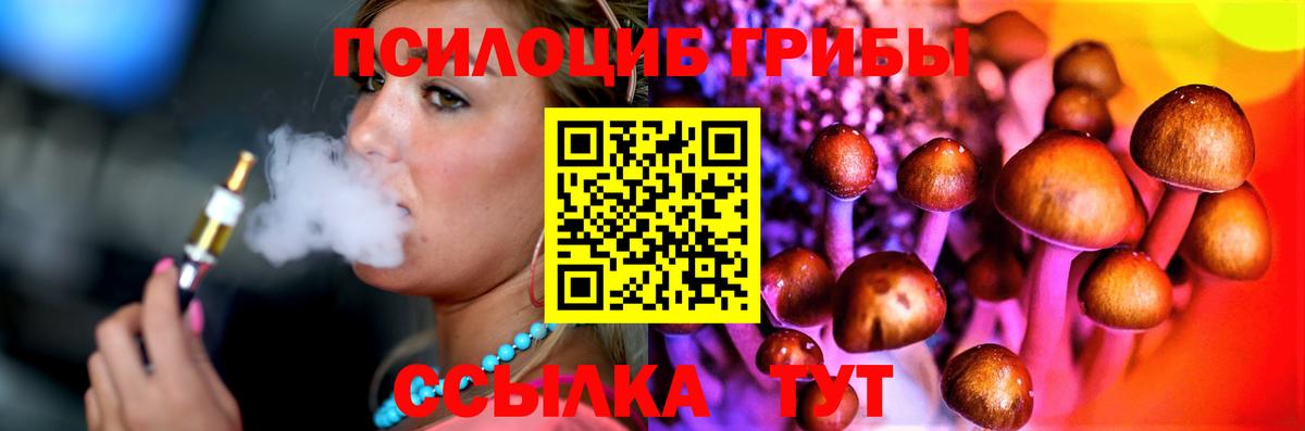 Люберцы  продажа наркотиков  Вход с VPN  Псилоцибиновые грибы Cubensis  Псилоцибиновые грибы прущие грибы 